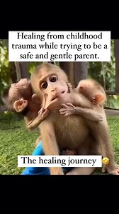 10K views · 200 reactions | Reposting from @thehealingtraumapodcast #healing #trauma #parenting #therapymemes #traumarecovery #youmatter #support #wellness #therapy #anxiety #generationaltrauma | One Moms Battle | Facebook