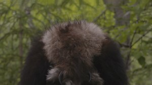 Nowhere Alaska - Apple TV