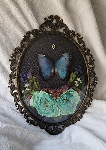 Vintage Brass Framed Morpho Butterfly Art With Dried Florals - Etsy