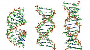 What genetic testing can't tell you