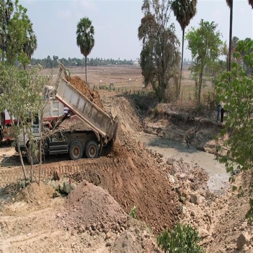 57K views · 424 reactions | Achieving Excellence: Best Practices for Pouring Soil into Pond. | Aprender color aprender para la vida | Facebook