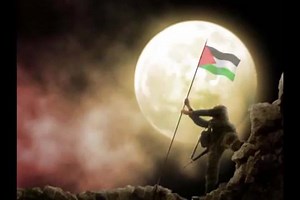 Wilaya de Sfisef on Reels