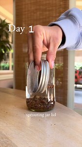 5.1K views · 63 reactions | Sweet and Spicy 龎 SPROUTS Combination of seeds used: broccoli seeds alfalfa seeds radish seeds  Full instructions on how to make sprouts, where to buy sprouting seeds, and the sprouting jar lid are in @tomatoeswithlemon page! #sprouts #sprouting #broccolisprouts #alfalfasprouts #radishsprouts #sandwhichsprouts #saladsprouts #vegan | Vegan A Bit Of All | Facebook