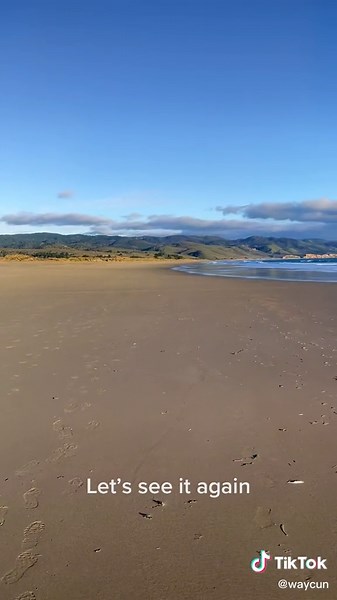 Exploring Limantour Beach at Point Reyes