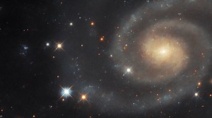 Panning across Spiral Galaxy UGC 11105 in Hercules | Hubble Space Telescope FriendsofNASA.org: This softly luminous galaxy—lying in the constellation Hercules, about 110 million light-years from Earth—seems outshone by the sparkling foreground stars that surround it. The type II supernova which took place in this galaxy in 2019, while no longer visible in this image, definitely outshone the galaxy at the time! To be more precise, UGC 11105 has an apparent magnitude of around 13.6 in the optical 