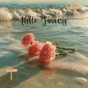 6.2K views · 127 reactions | Hello January. | I Love The Beach Trips | Facebook