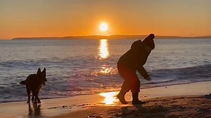 2.5K views · 418 reactions | Epic sunset at Southbourne beach this evening. Bodhi and Coco have been playing digging holes, blowing bubbles and putting his ducks in the water for Coco to rescue. Sensory sunset heaven!! #autism #autismawareness #autismacceptance #sensoryplay #heaven #beach #beachlife #fun #creative #bestfriends #germanshepherd #gsd #amazing #beautiful | Waveslider Photography | Facebook