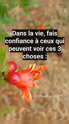 212K views · 3.9K reactions | Fais confiance à ces 3 personne ! - Pensées Positives | Pensées Positives | Facebook