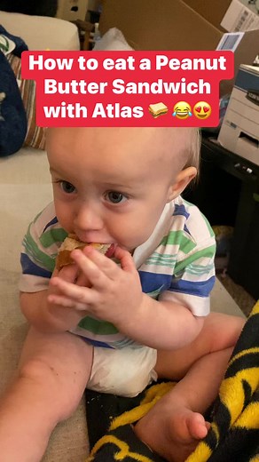 98K views · 683 reactions | Atlas eating a Sandwich was so Cute! We have bloopers too for Later! #cookingreels #food #adorable #parents #parenting #cuteness #moms #mom #momlife #yummy | Jeffery McGann | Facebook