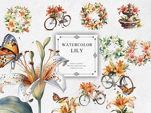 Buy 16 Lily Clipart Set in Transparent PNG - Lily Watercolor Digital Image Downloads for Card Making, Scrapbook, Junk Journal, Paper Online in India - Etsy