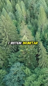 5K views · 73 reactions | Cum sa intineresti mai rapid | Poveşti Românești | Facebook