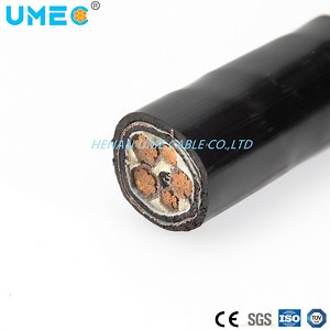 [Hot Item] XLPE Insulation PVC Sheathed Steel Tape Armored Control Cable
