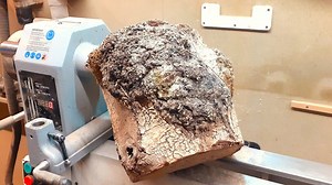 How chunks of wood became stunning art