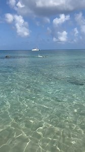 Snorkeling in #barbados www.bestevillas.com | Best E Villas Barbados