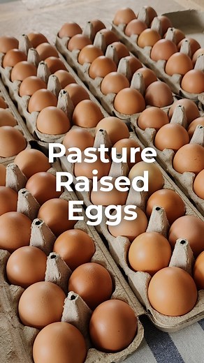 Our hens live how nature intended—roaming on pasture, eating a diverse diet, and enjoying sunshine and space. That lifestyle translates into eggs packed with real nutrition. 🧠 Nutrient-dense yolks rich in choline, B vitamins, and healthy fats 📦 Available as a home delivery add-on 📅 Monthly egg subscriptions 🧑🏼‍🌾 Pick up on the farm 🛒 Or grab a dozen at our local farmers markets However you get them, they’re a staple worth stocking. #PastureRaisedEggs #NutrientDense #RealFood #KnowYourFarm