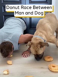 Donut Race Between Man and Dog | Diamond Dallas Page