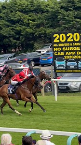 And the Brighton Mile Challenge again goes to… Uncle Dick 🐎 What a horse 🙌 hear the crowd roar #brighton #festival #uncledick #festivalofracing | Brighton Racecourse