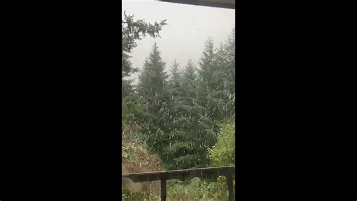 Snow in Mulino, Oregon