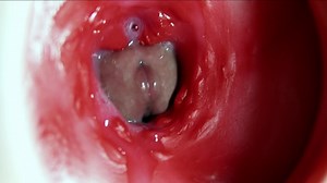 Big orgasm inside the anus! Fantastic moaning orgasm and a lot of sperm!