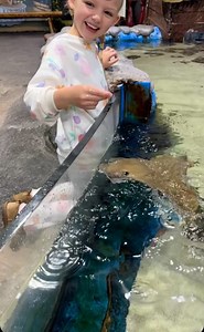 Rays are a crowd favorite for a reason! | East Idaho Aquarium