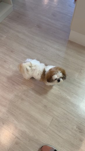 19K views · 106 reactions | Maria FC on Reels | Facebook