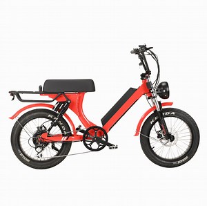 Fat Tire Vintage Electric Bike Beach Cruiser Leopard 48V 500W 750W 2020