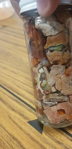 SALE!! Jarred Mexican Fire Opal  . Was $65 Now $58!! Mexico •Fire...