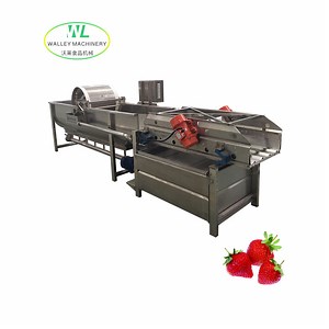 [Hot Item] Automatic Fruit and Vegetable Washing Machine Washer