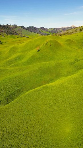 Journey through the lush landscapes of Bromo Tengger Semeru National Park, where green hills, mountains, and dirt roads lead you to untouched nature. Disconnect from the modern world and reconnect with the beauty that surrounds us.🌄💚 📍Bromo Tengger Semeru National Park, East Java 🎥: @andilkman #WonderfulIndonesia #WonderfulJourney #NaturalWonders #IndonesianLandscapes #ExploreMore | Indonesia.Travel