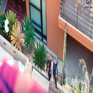 The best movie on Netflix 2025 | Arthouse Mechanics