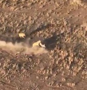 37K views · 553 reactions | Cheetah and the hyena join forces to capture the deer | Eagle Cam | Facebook