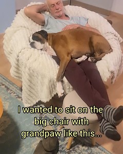 30K views · 3.6K reactions | Can you believe how hard it was to get into my comfy spot today?  | Bobby from the bin | Facebook