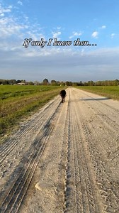 2.6K views · 263 reactions | Today was the first morning waking up...