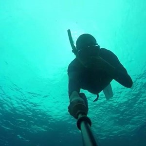 1.6K views · 47 reactions | ¿ME ACOMPAÑAS A DAR UN PASEO ? #Repost...