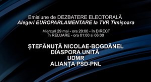 1K views | Emisiune de dezbatere electorală - alegerile europarlamentare | TVR Timisoara | Facebook