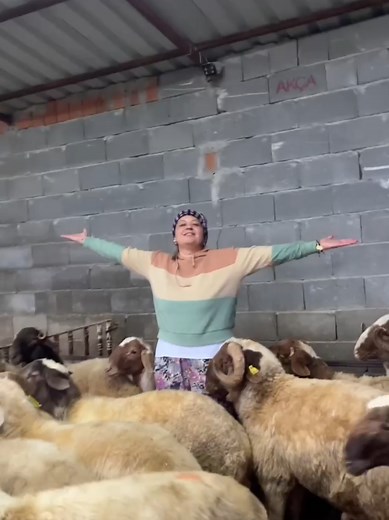 Kuzularım Var: Denizli'de Karakurt Besiciliği