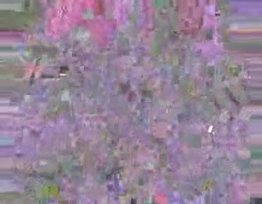 Юра Шатунов-Белые розы