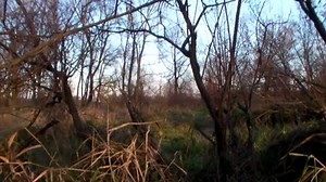 WhitetailFIRST's Nathan Mathwig gets it done late season in Northern Wisconsin after a tough archery season. | Ol' Drop Tyne