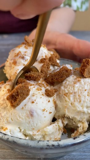 43K views · 351 reactions | Get ready for a scoop-tastic journey with our Ice Cream Hacks Compilation!  From the irresistible Biscoff Ice Cream to the refreshing Easy Peach Ice Cream and the classic Neopolitan Ice Cream, these recipes will turn your kitchen into an ice cream parlor. | Tastemade | Facebook
