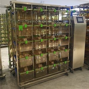 [Hot Item] Laboratory Rabbit Breeding Cage Racks Plastic Tub Guinea Pig Ivc System