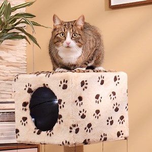 43K views · 70 reactions | Spoiling My Cat With A New Bed Thanks for watching! Please be aware that this video is for entertainment purposes only and techniques shown should not be attempted at home! | Crafty Panda How | Facebook