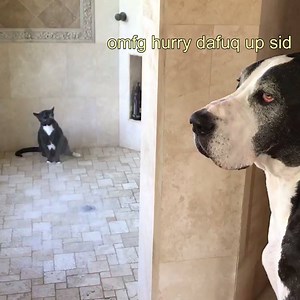 2.4M views · 23K reactions | This could quite possibly be the greatest video of all time.. "Mlem mlem mlem"  | UNILAD | Facebook