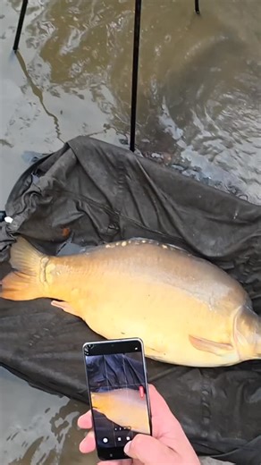 #carpfishing #carpcup #czechcarpanglermasters #carplife #ccam #mırrorcarp | Czech CarpAngler Masters - CCAM