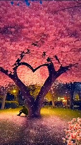 75K views · 666 reactions | Đừng nói xa nhau | 헤혂헲̂ 헛혂̛헼̛헻헴 | Facebook