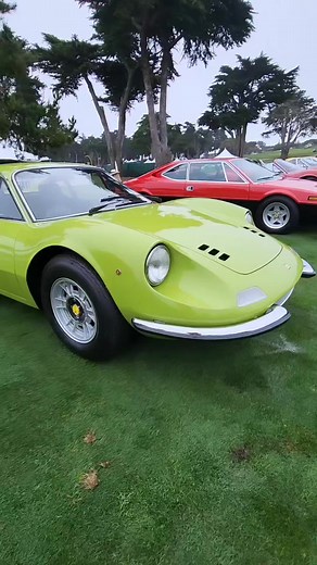1.2K views · 69 reactions | Dino paradise @ Concorso Italiano 奈 . . . . . #Dino #Ferrari #ferraridino #cars #classiccars #automotive #aboutcars #carswithoutlimits #carsofinstagram #engine #carhistory #carweek #Ferrari #Jaguar #alfaromeo #MercedesBenz #porsche #Bentley #RollsRoyce #Koenigsegg #Bugatti | The Bad Blonde - Automotive History | Facebook