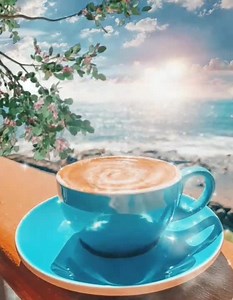 101K views · 2.3K shares | ☕ | Škrinjica | Facebook