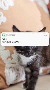 🏰 🃏 😼= ??? | TXT Stories