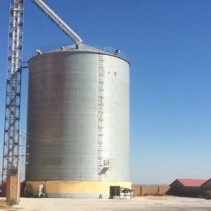 [Hot Item] 50 Ton to 10000 Ton Grain Storage Steel Silos Silos with Silos Systems