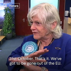 185K views · 3K reactions | "Somebody has got to show them them that we are not their slaves." Newly-elected MEP Ann Widdecombe says that the Brexit Party deserves a role in negotiations with the EU because "so far Westminster's made an unholy mess of them". | Channel 4 News | Facebook