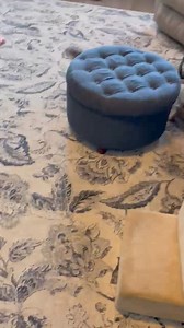 34K views · 1.2K reactions | ZOOMIES after a bath! | Spencer Adkins Weather (TV Meteorologist) | Facebook